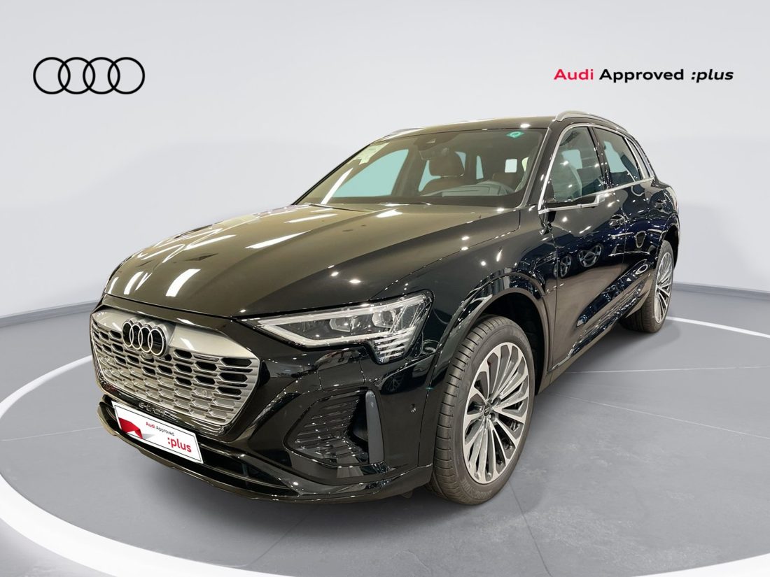 2024 Audi Q8 Q8SLINE55ETRONQUATTRO(300KW)