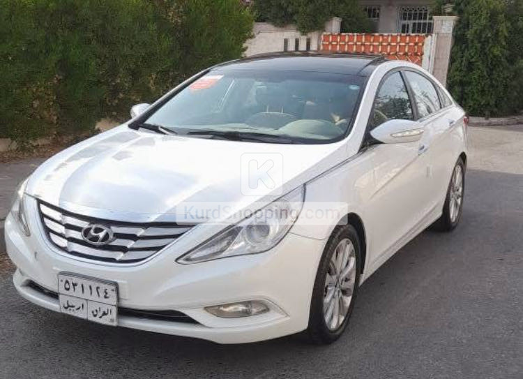 2010 Hyundai Sonata