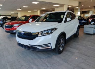2021 Seres 3 LUXURY