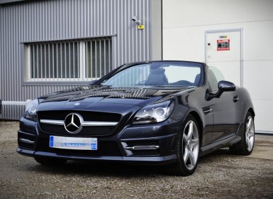 2013 Mercedes-Benz SLK 250CDI204CVPACKAMG