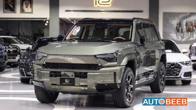 2026 Dongfeng M-Hero 917