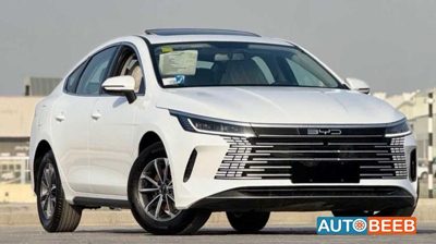 2025 BYD Destroyer