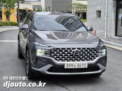 2021 Hyundai 더 뉴싼타페 디젤 2.2 Awd 프리미엄 초이스