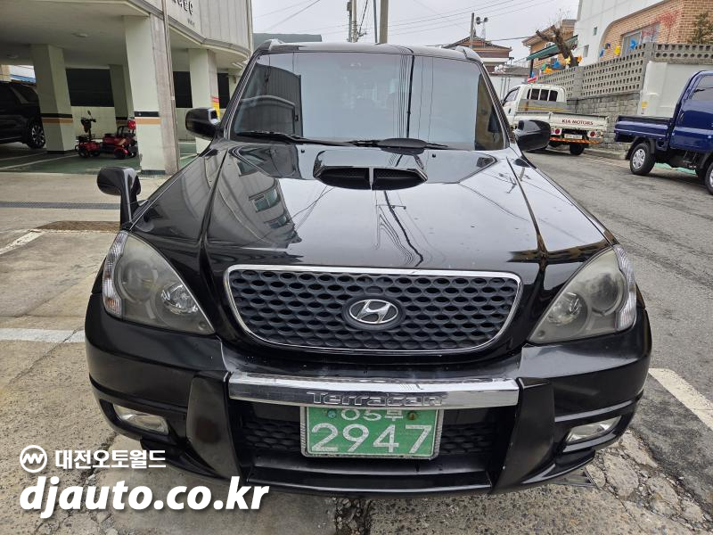 2006 Hyundai Terracan