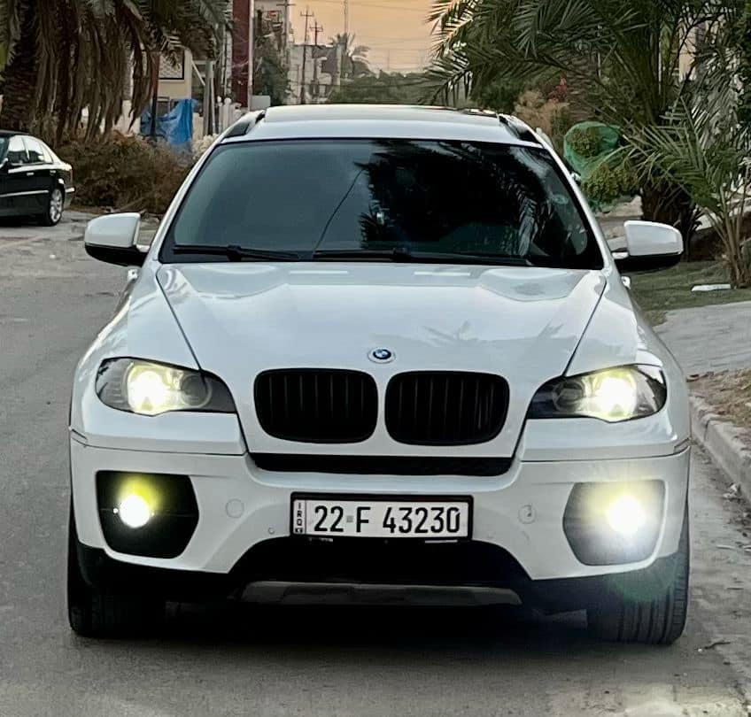 2010 BMW X6