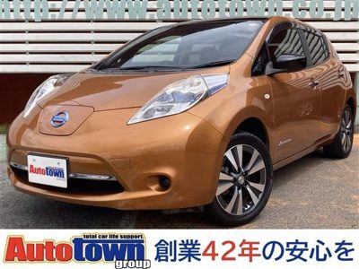 2016 Nissan 30kWh X Thanks Edition, 8-segment/Collision-mitigating Brake/Navi/Backup Camera