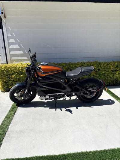 2020 Harley-Davidson Livewire Elw ELW