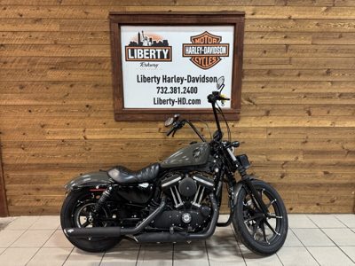 2019 Harley-Davidson Iron 883 IRON