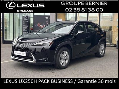 2024 Lexus UX 250HPACKBUSINESS2WD
