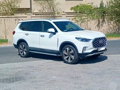 2021 Maxus D60
