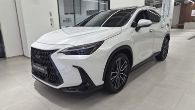 2024 Lexus NX LUXURY