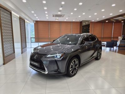 2024 Lexus UX AWD