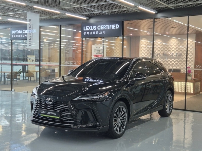 2025 Lexus RX LUXURY