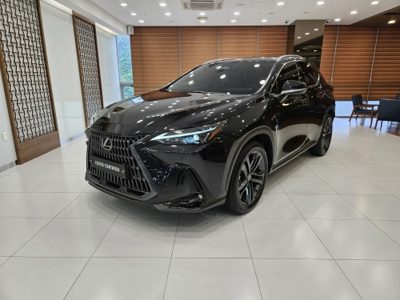 2025 Lexus NX PREMIUM