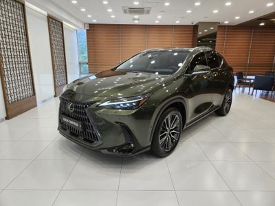 2025 Lexus NX LUXURY