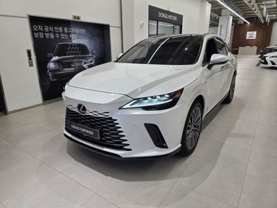 2025 Lexus RX LUXURY