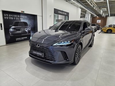 2026 Lexus RX LUXURY