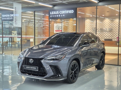 2025 Lexus NX FSPORT