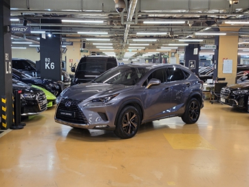 2018 Lexus NX EXECUTIVE
