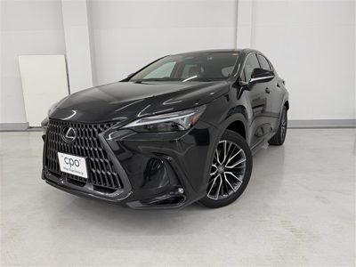 2023 Lexus NX