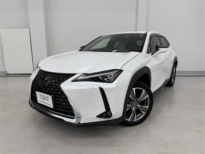 2022 Lexus UX