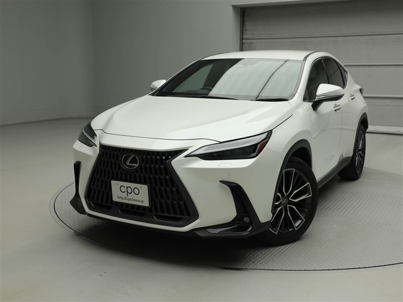 2023 Lexus NX