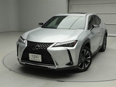 2021 Lexus UX