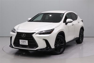 2023 Lexus NX VERL