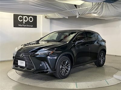 2023 Lexus NX