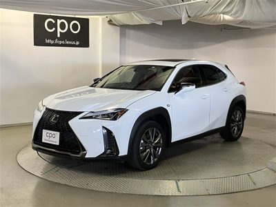2019 Lexus UX