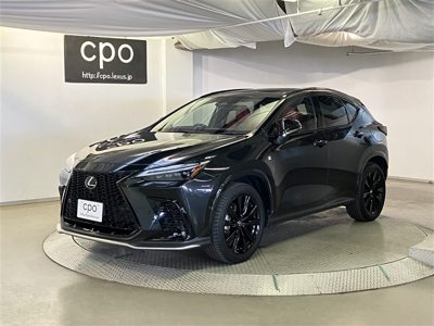 2024 Lexus NX