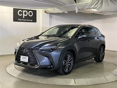 2023 Lexus NX VERSIONL