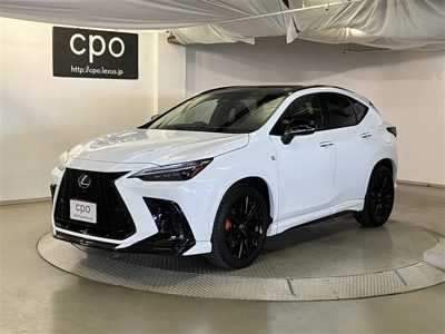 2024 Lexus NX