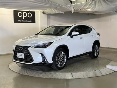2023 Lexus NX VERSIONL