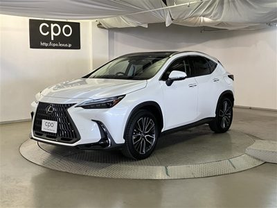 2023 Lexus NX