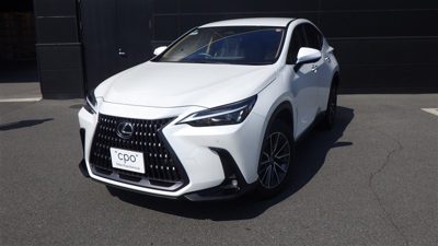 2024 Lexus NX