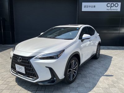 2023 Lexus NX