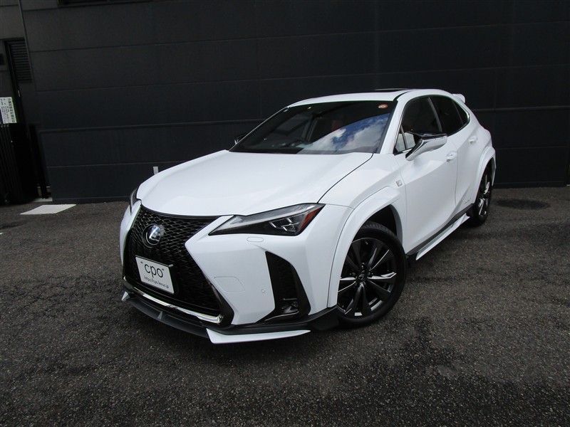 2019 Lexus UX FSPORT
