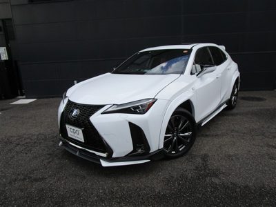 2019 Lexus UX FSPORT