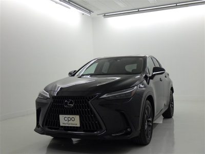 2023 Lexus NX VERL
