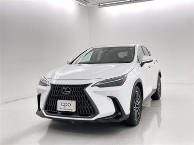 2024 Lexus NX VERL