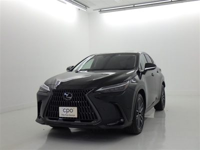 2023 Lexus NX VERL