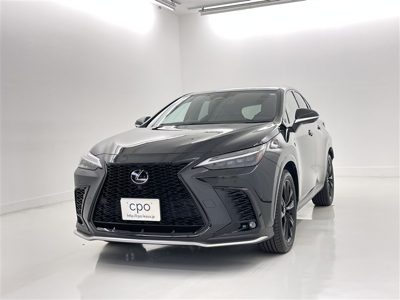 2023 Lexus NX FSPORT