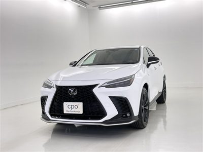 2025 Lexus NX FSPORT