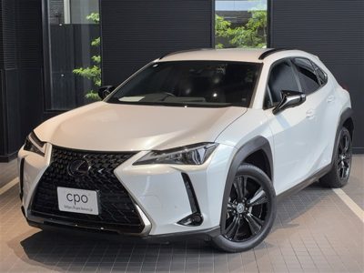 2021 Lexus UX