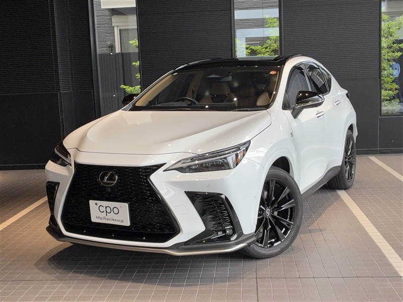 2024 Lexus NX