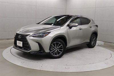 2024 Lexus NX