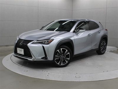 2023 Lexus UX VERL