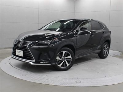 2021 Lexus NX SPICE&CHIC