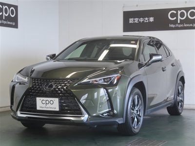 2021 Lexus UX